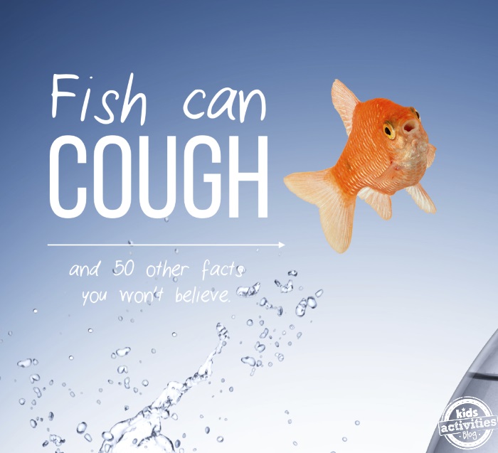 Picture Of Fish With Text " Did You Know Fish Can Cough"